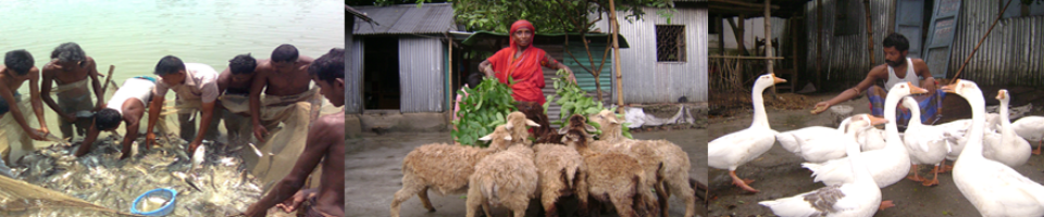 পল্লী দারিদ্র্য বিমোচন ফাউন্ডেশন আদিতমারী কার্যালয়, লালমনিরহাট