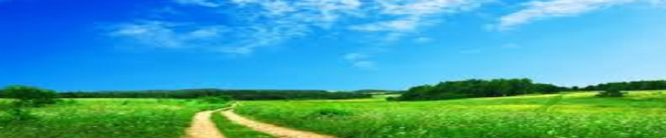 প্রাকৃতিক সৌন্দর্য