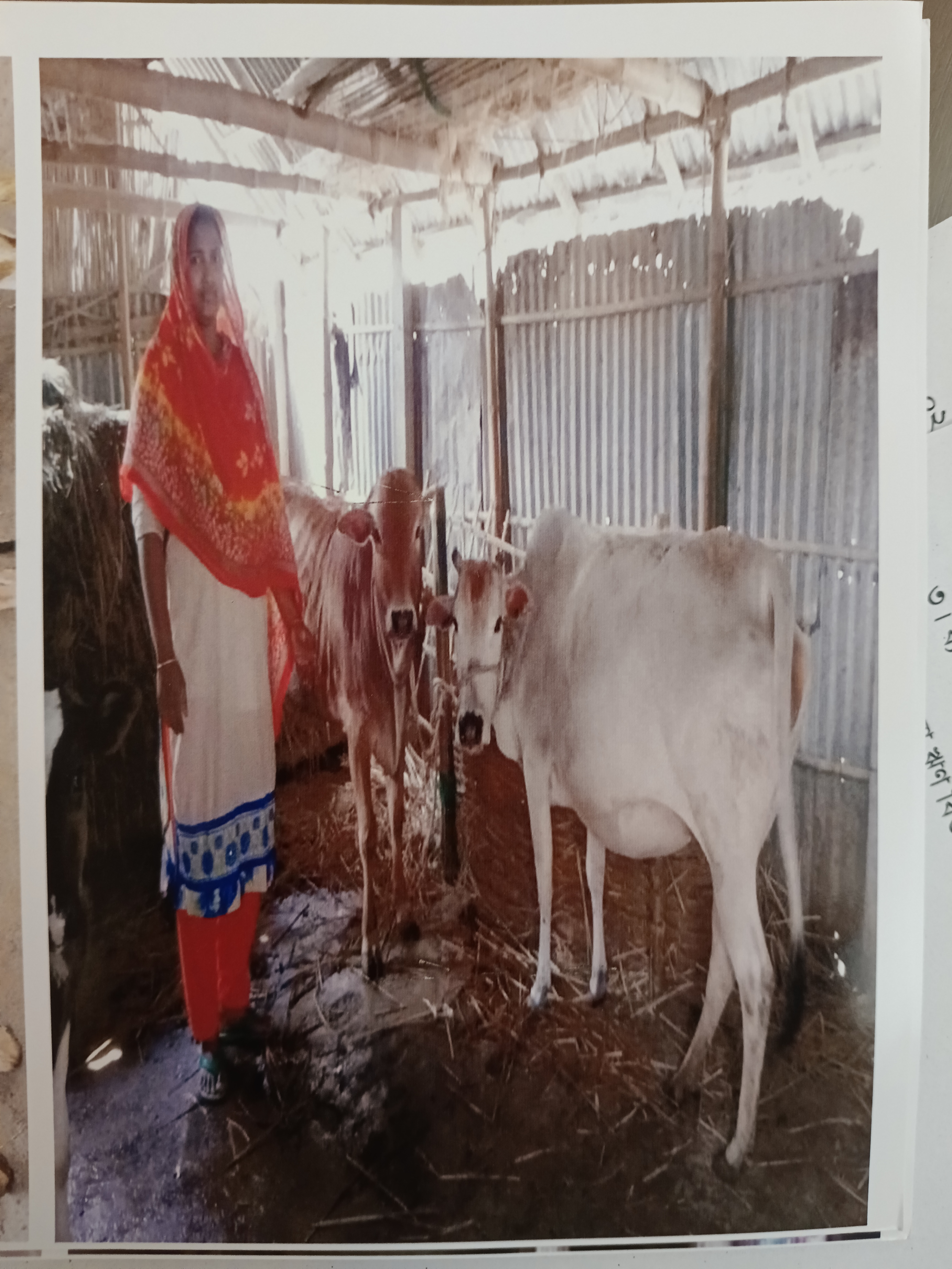 খামার পরিদর্শন