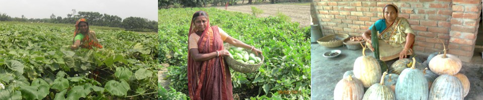 পিডিবিএফ এর সুফলভোগী সদস্যগণ