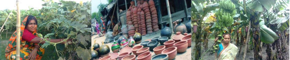 পল্লী দারিদ্র্য বিমোচন ফাউন্ডেশন