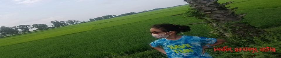 ব্যানার