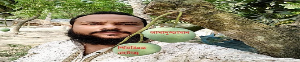 ব্যানার