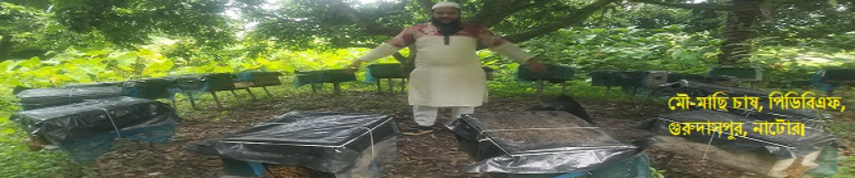 ব্যানার