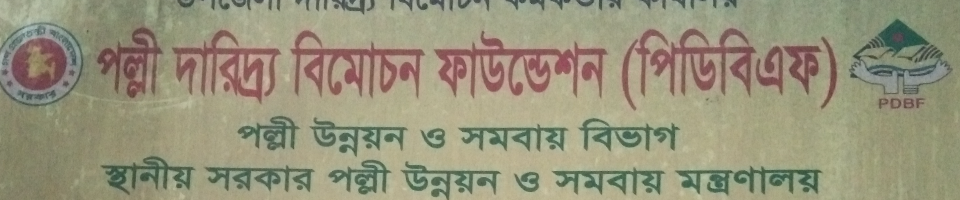 পল্লী দারিদ্র্য বিমোচন ফাউন্ডেশন