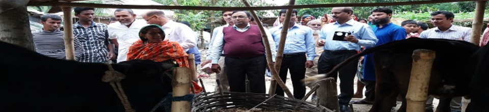 মধুখালী