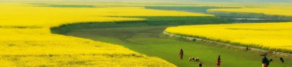 অপরুপ বাংলাদেশ