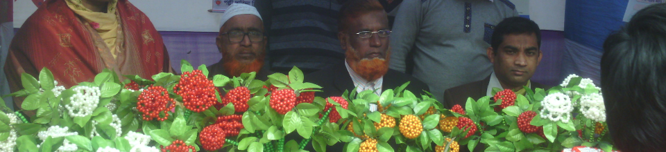 উন্নয়ন মেলা