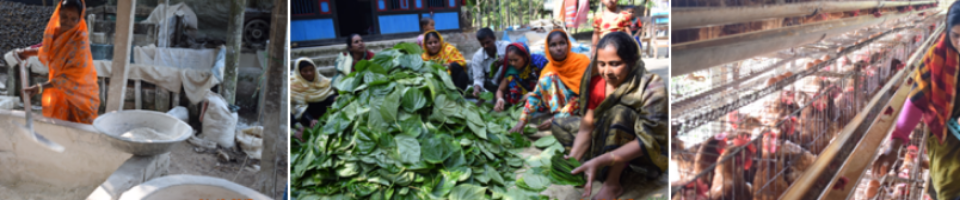 আয়বৃদ্ধিমূলক কর্মকান্ডে ক্ষুদ্র-2