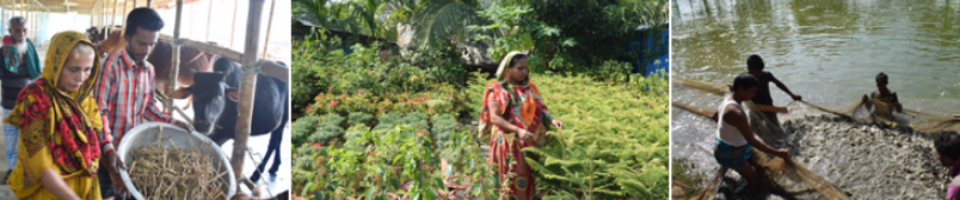 আয়বৃদ্ধিমূলক কর্মকান্ডে ক্ষুদ্র-3