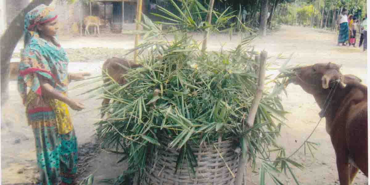 উপকার ভোগীদের মাঝে ঋণ বিতরণ কার্যক্রম