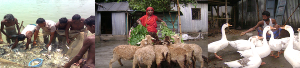 পল্লী দারিদ্র্য বিমোচন ফাউন্ডেশন, শেলকুপা কার্যালয়