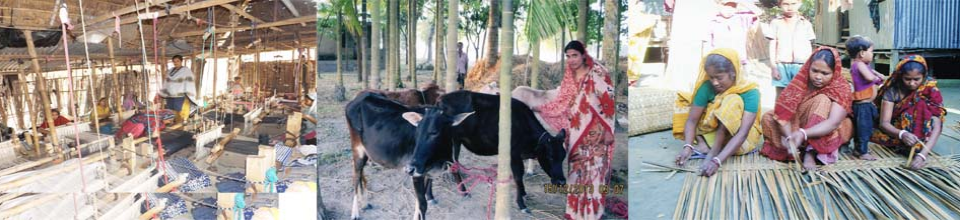 পল্লী দারিদ্র্য বিমোচন ফাউন্ডেশন, শৈলকুপা।
