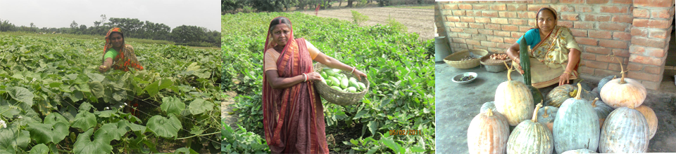 ব্যানার-3