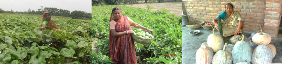 সদস্য