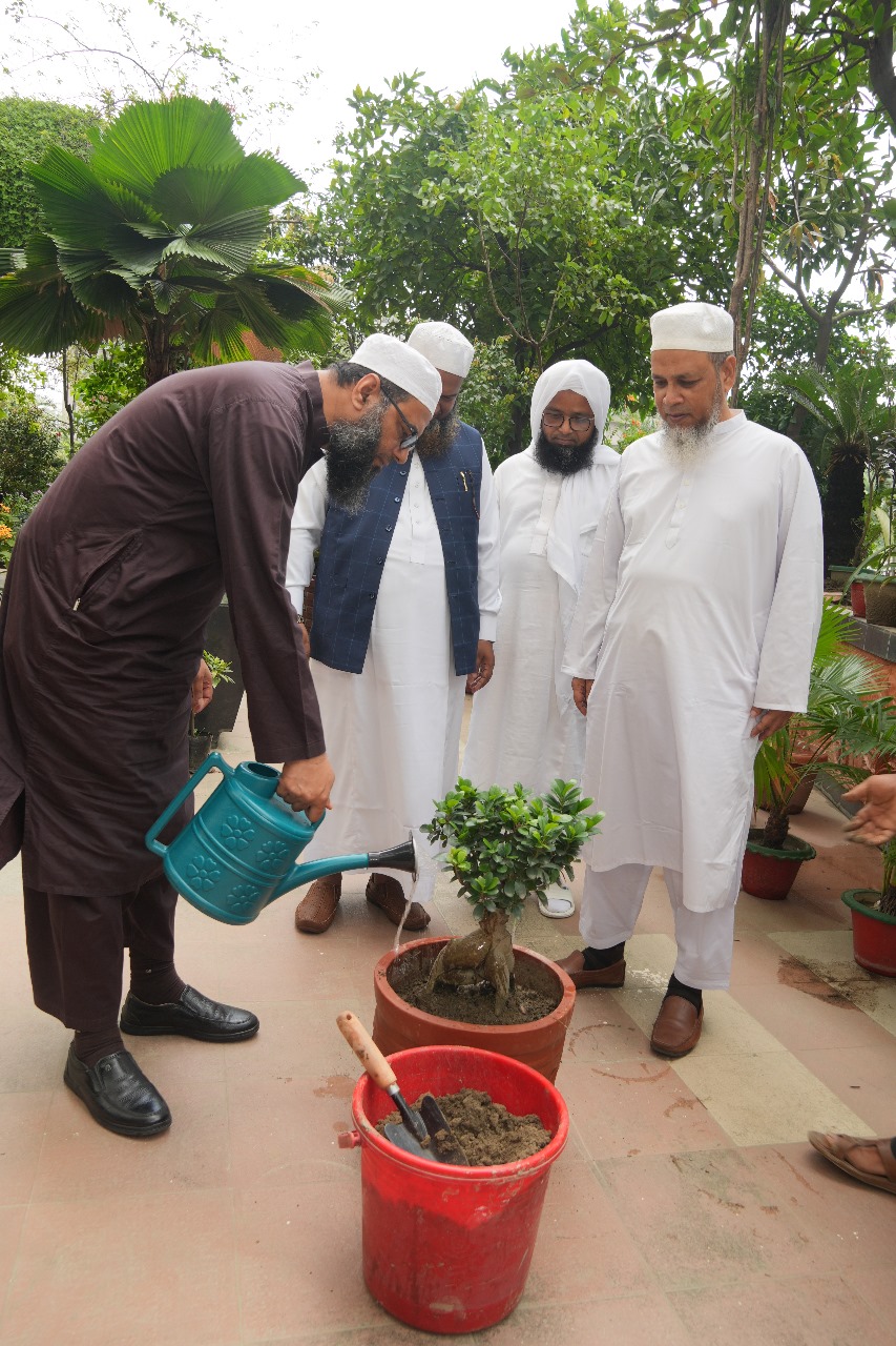 জুলাই শহীদদের স্বরণে বৃক্ষ রোপন