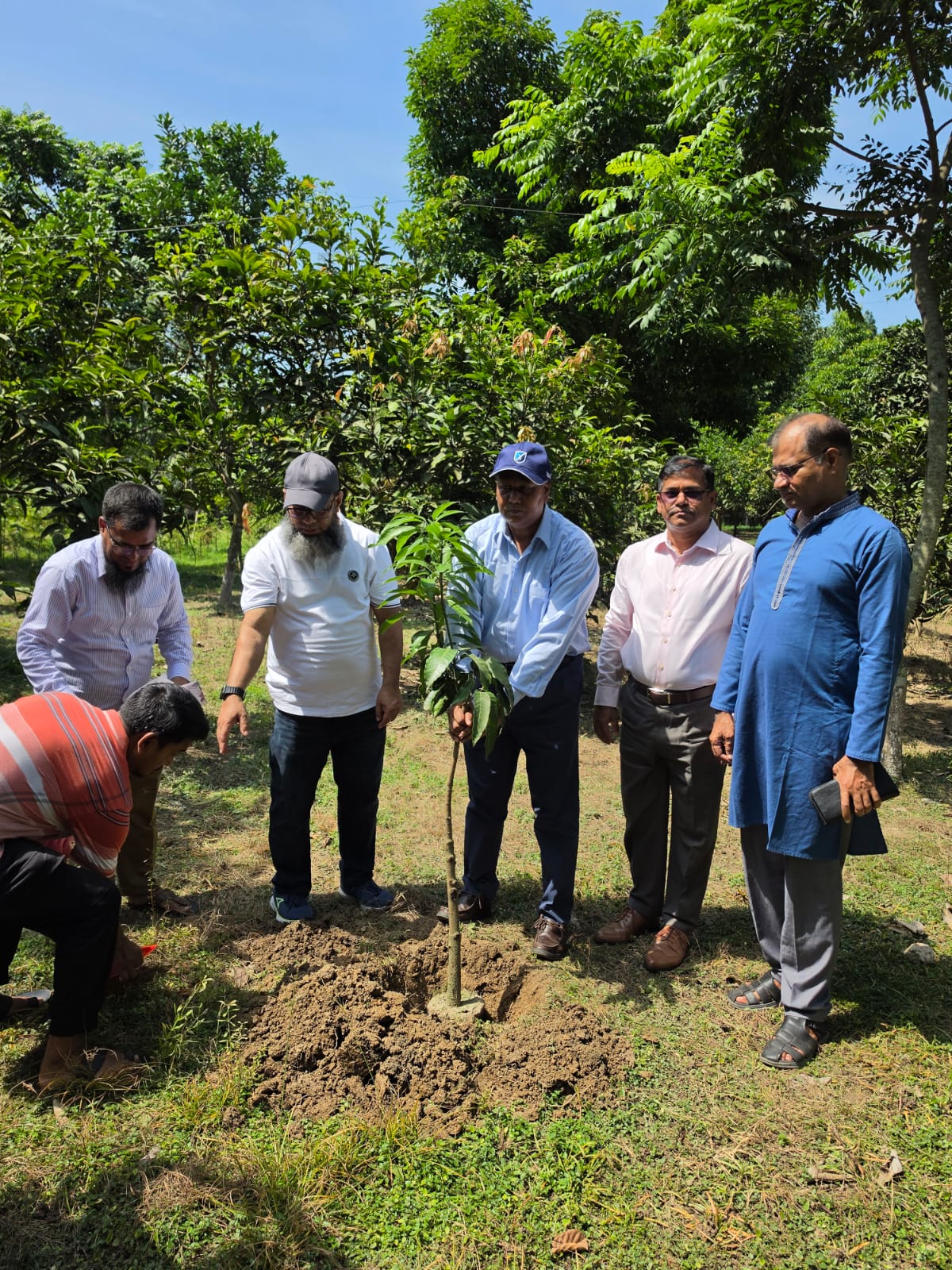 পেট্রোবাংলার মাননীয় চেয়ারম্যান মহোদয়ের পিজিসিএল এর বগুড়া রিজিওনাল অফিস পরিদর্শনকালে বৃক্ষরোপন।