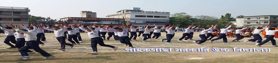 বিজয় দিবস