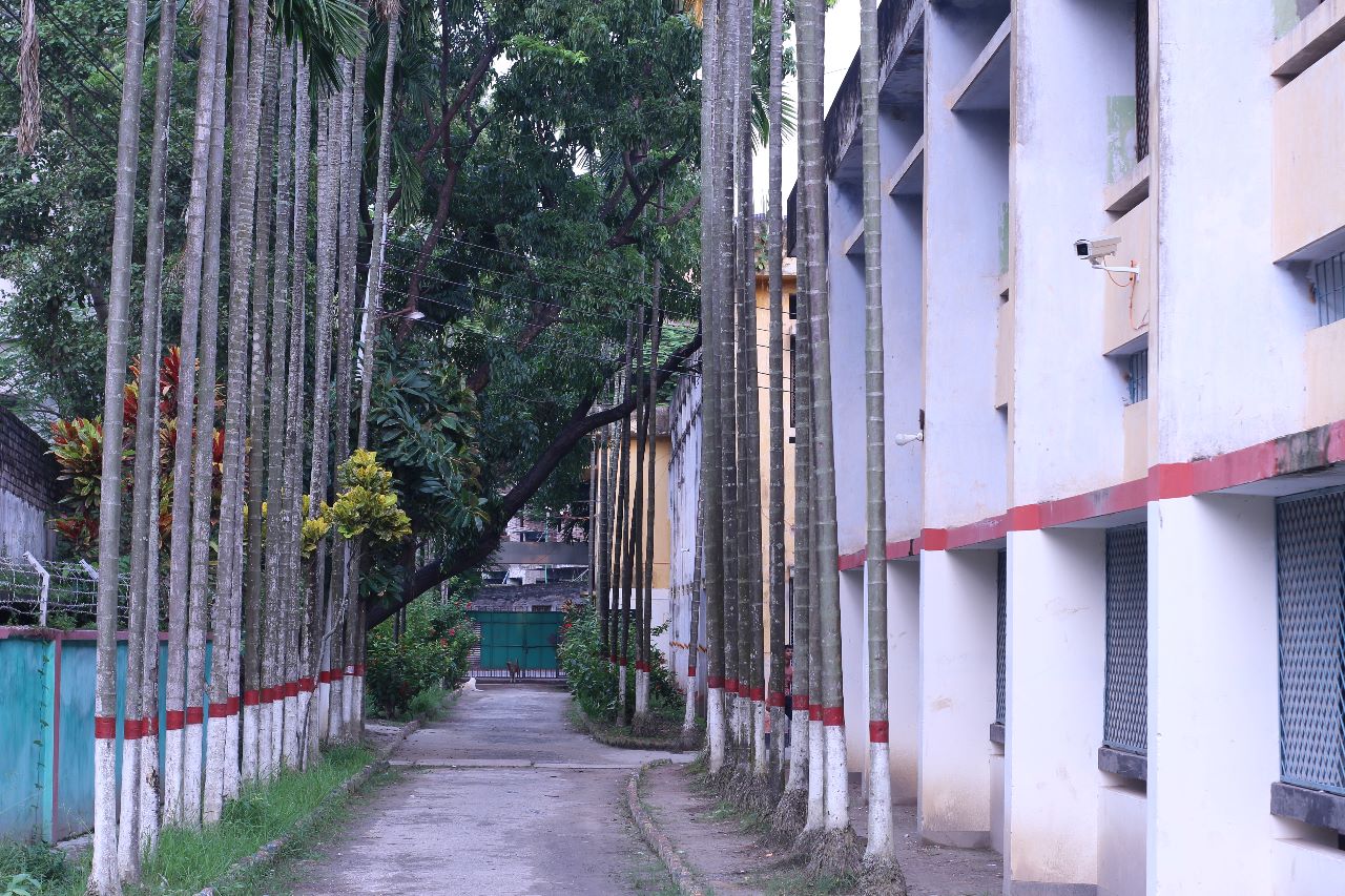 ছবি