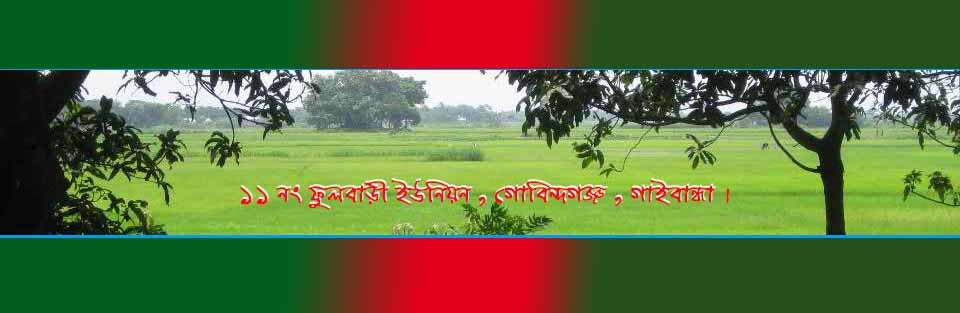 সবুজ - শ্যামল - সোনালী দিয়ে ভরা ১১ নং ফুলবাড়ী ইউনিয়ন।