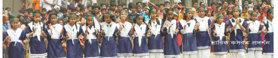 ফুলবাড়ী জছিমিঞা মডেল উচ্চ বিদ্যালয়