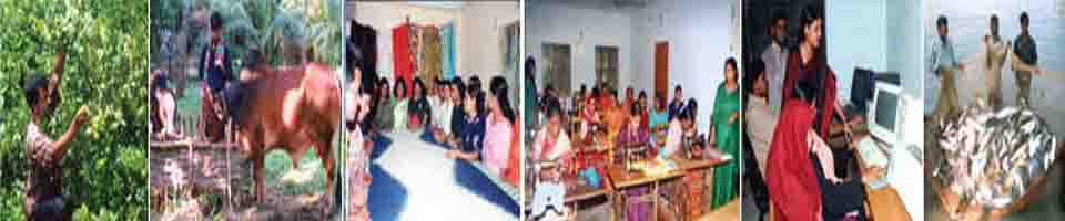 অর্থনৈতিক সম্ভাবনা