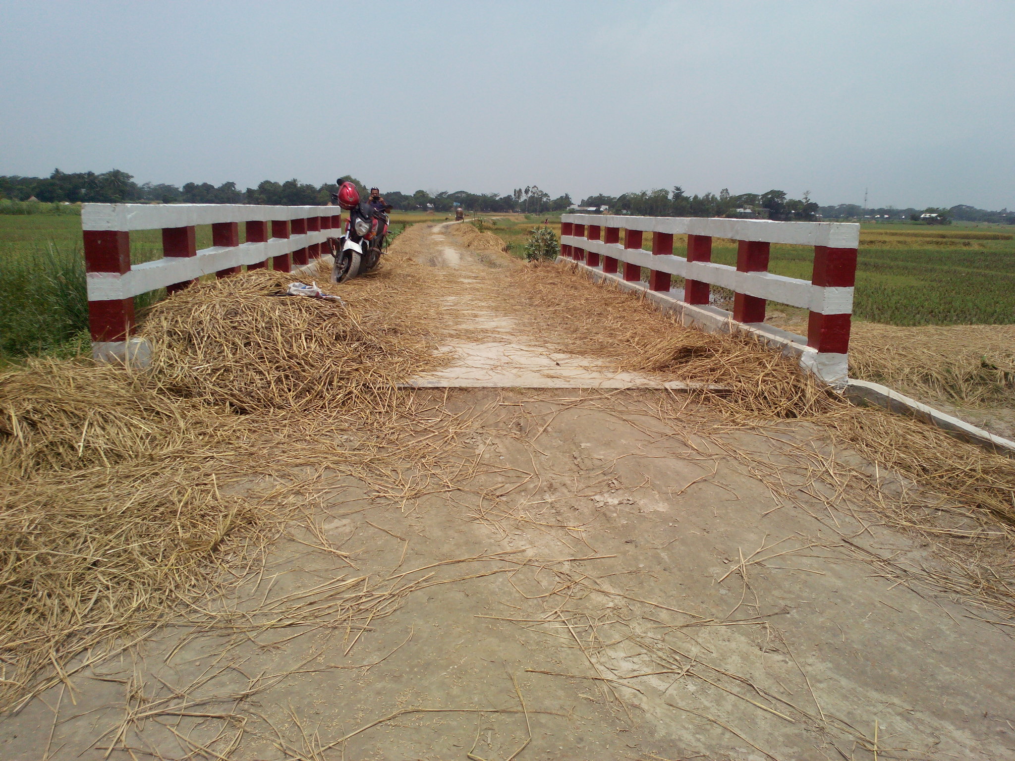 Bridge Culvert Project