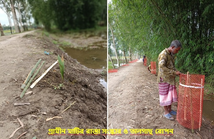 তাল গাছ রোপন