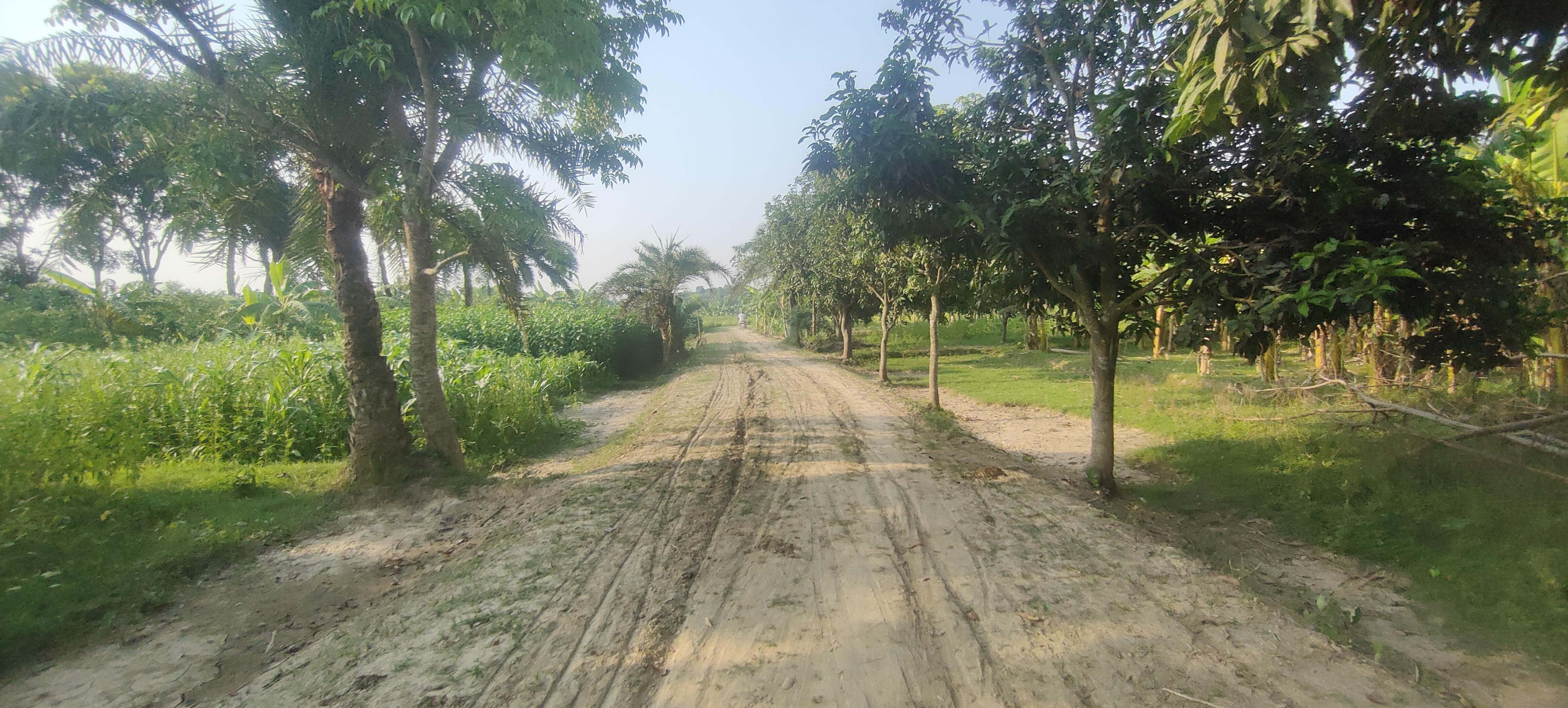 কাবিখা প্রকল্প পরির্দশন