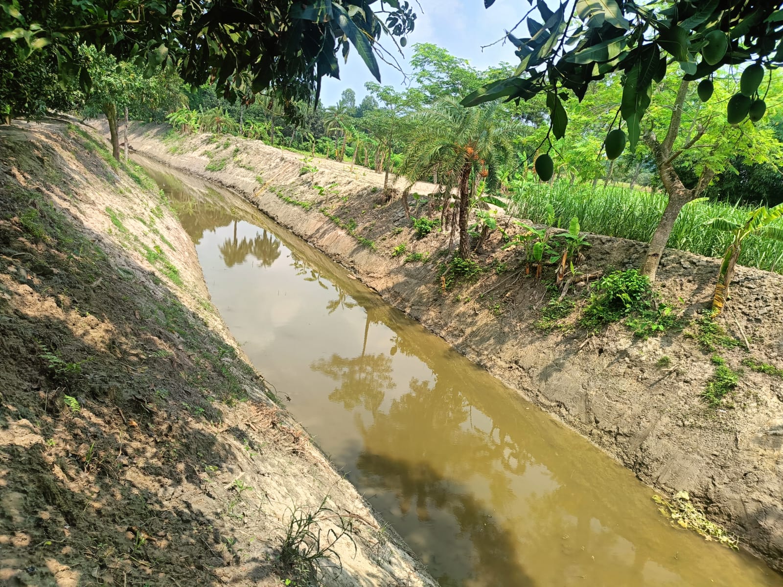 ডুমরাই খাল দয়রামপুর