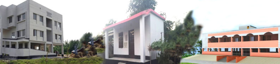 ডি,ডি,এম