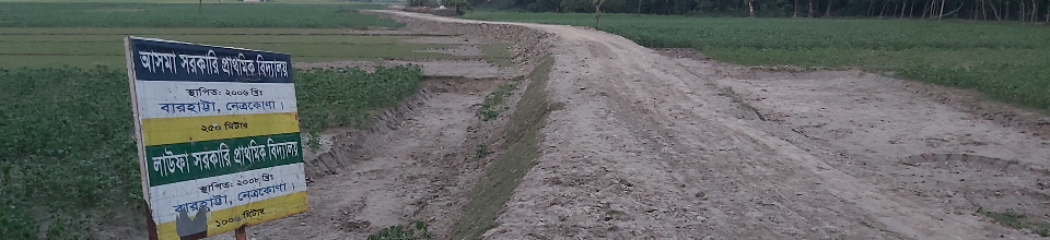 গ্রামীন অবকাঠামো