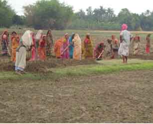 ইজিপিপি'র ওয়েজ প্রকল্প 