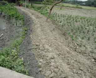 ইজিপিপি'র ওয়েজ প্রকল্প 