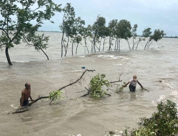 উপজেলা প্রকল্প বাস্তবায়ন কর্মকর্তার কার্যালয়, বাসাইল, টাঙ্গাইল।