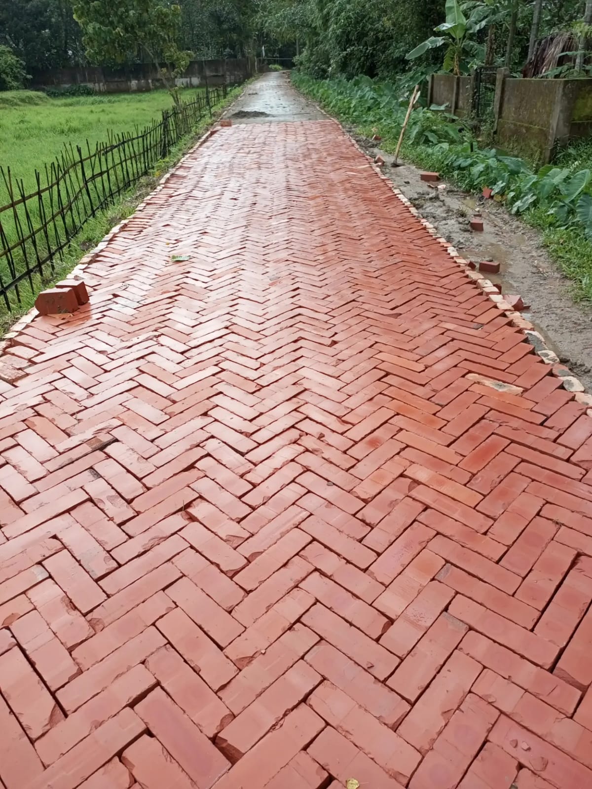 কাবিটা/কাবিখা/টিআর কাজে ছবি