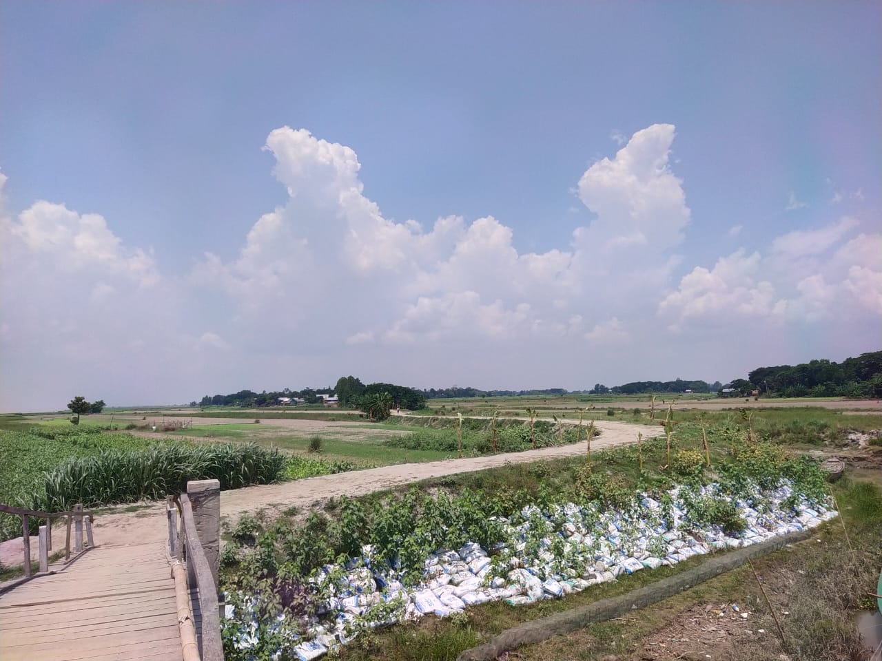 ই-নথি সংক্রান্ত প্রশিক্ষণের ছবি