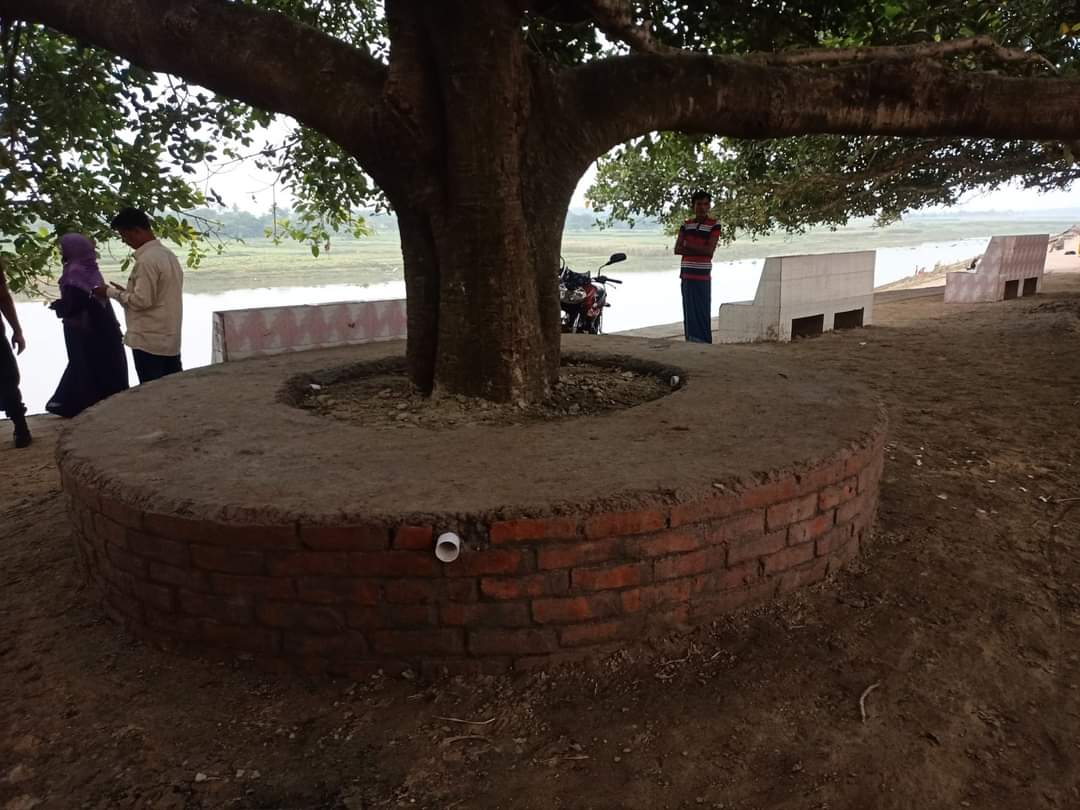 বজরাটেক মহানন্দা নদীর পাড়ের বট বৃক্ষের গোড়া বাঁধাই ও সৌন্দর্য বর্ধন।