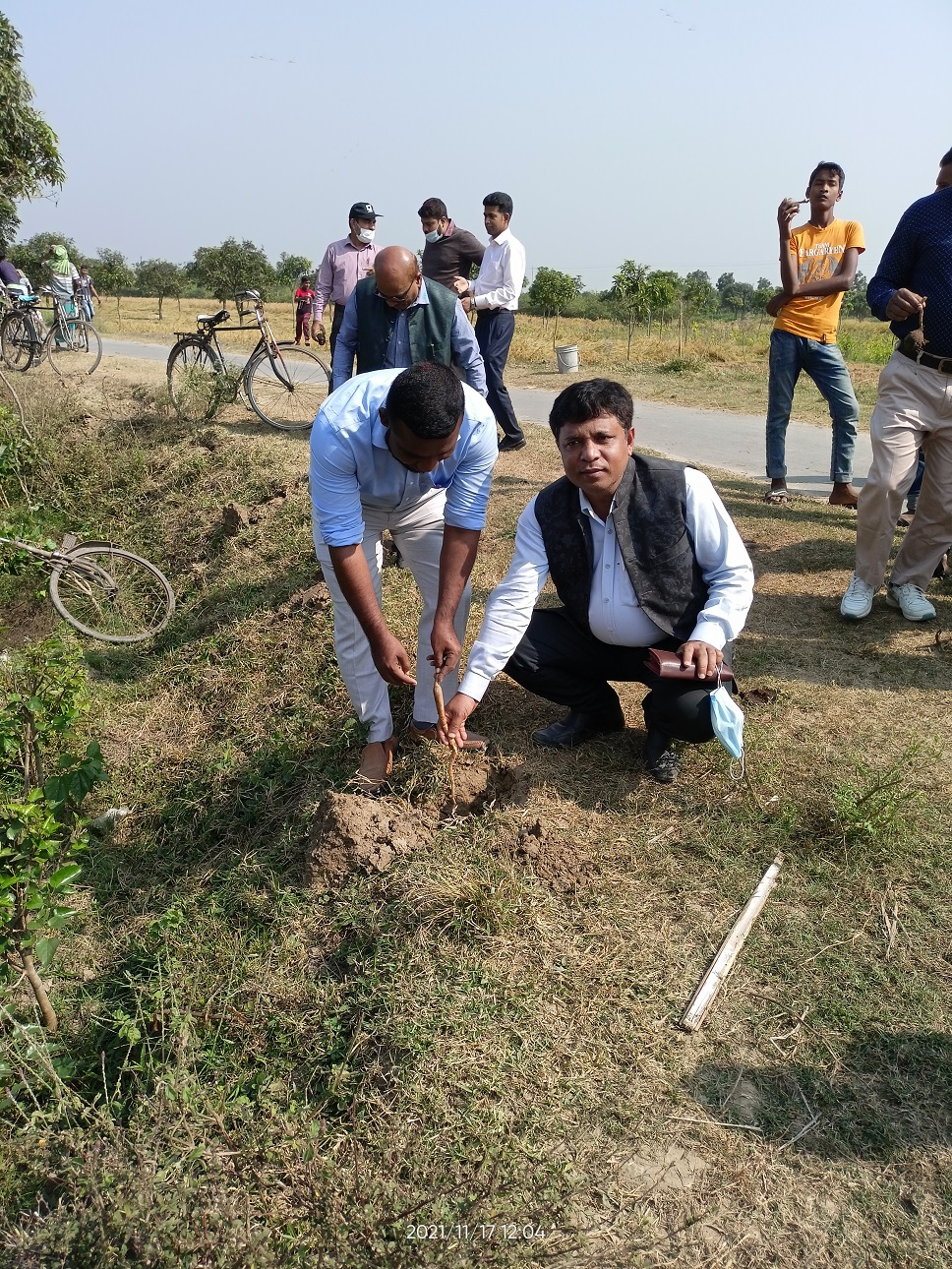 তাল বীজ রোপণ কর্মসূচি