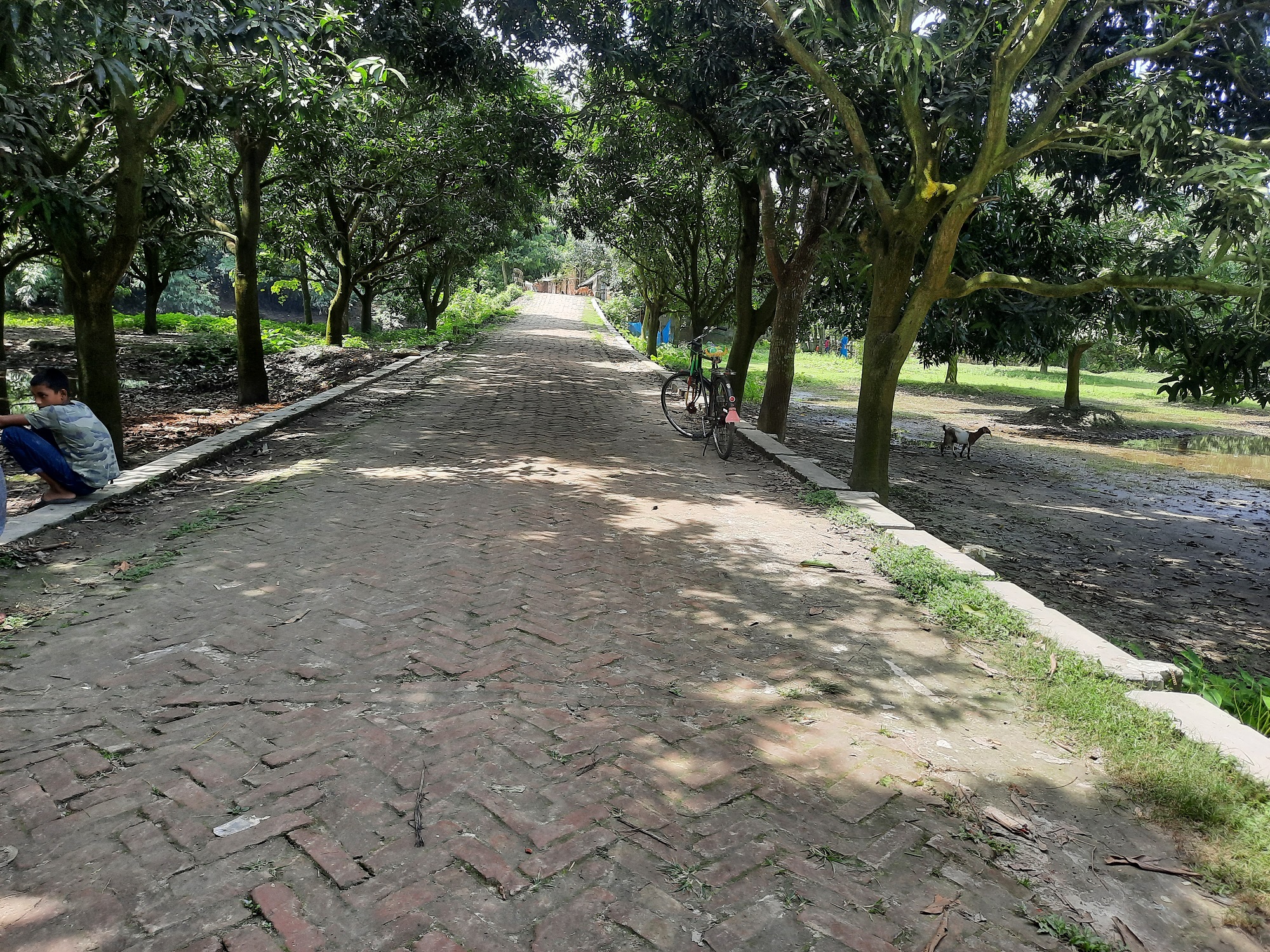 গ্রামীণ মাটির রাস্তা এইচবিবি করণ