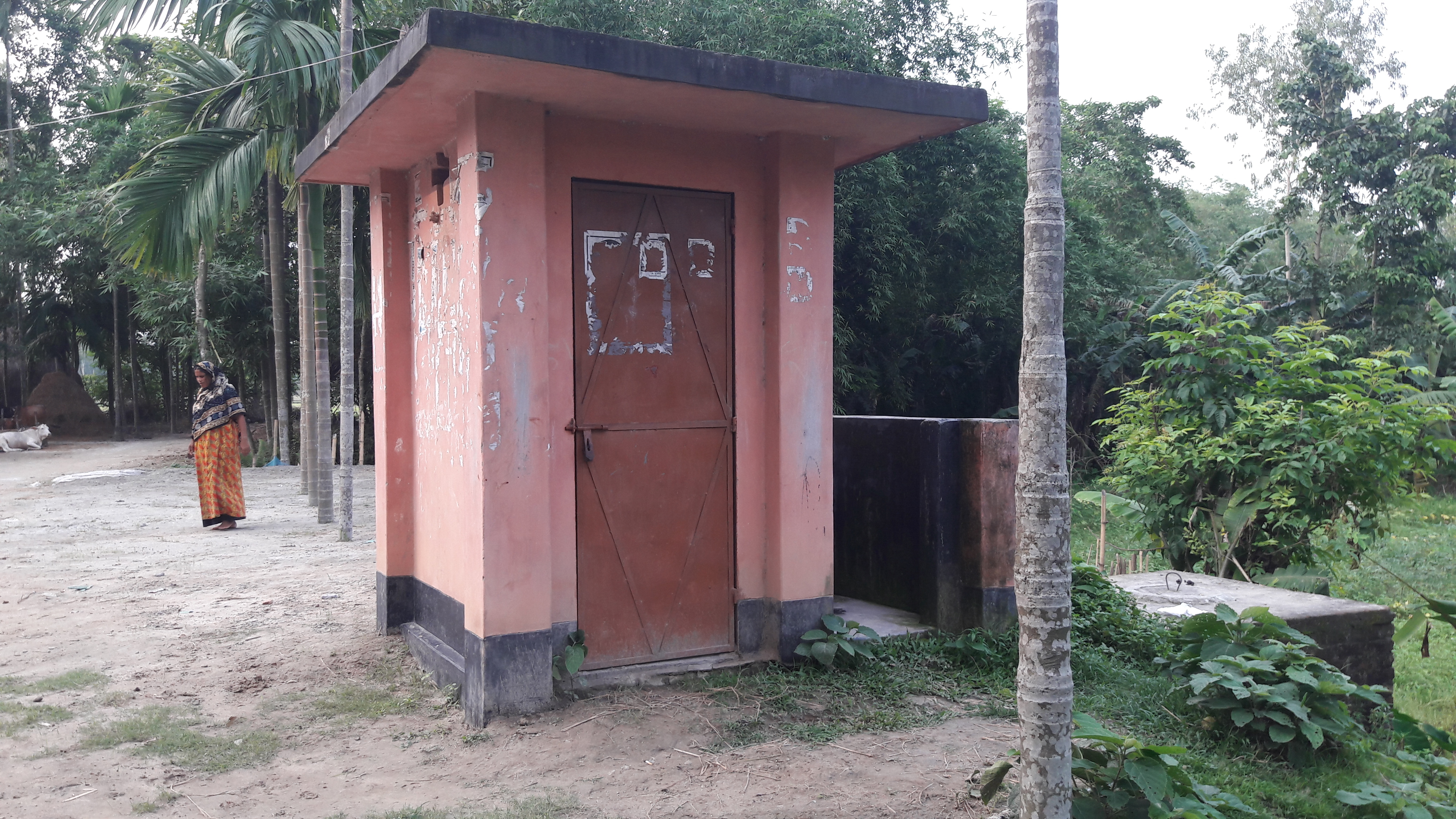 ফটো 