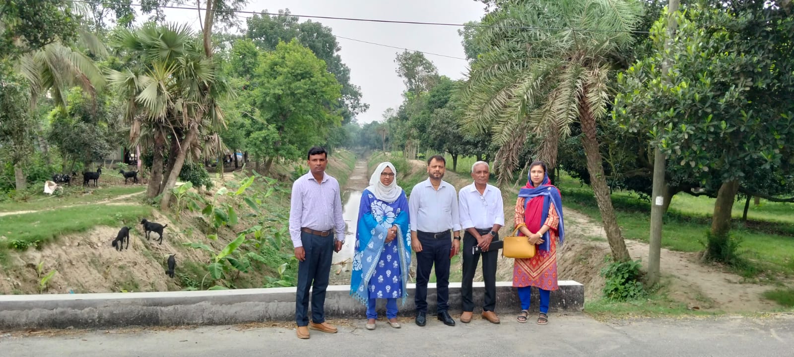 খাল খনন পরিদর্শন