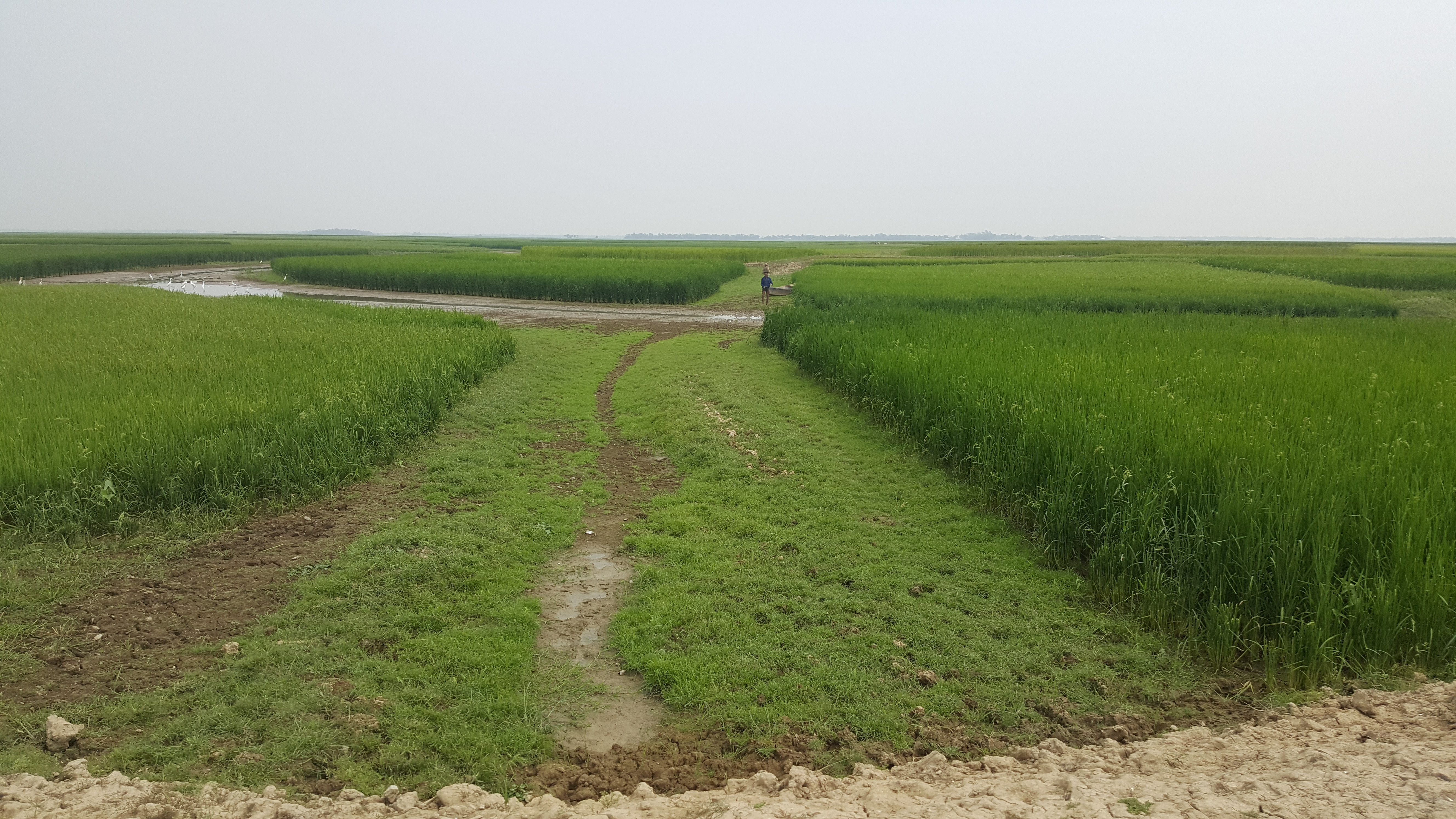 Bridge Hydrolic Data for Site Selection 