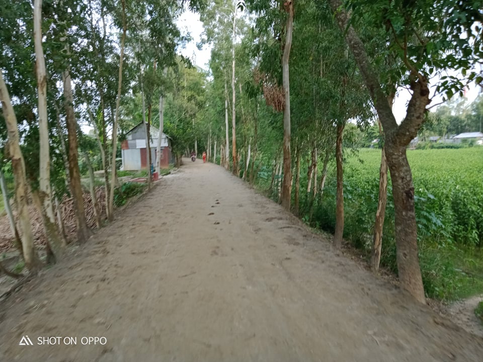 মেরামত-৫