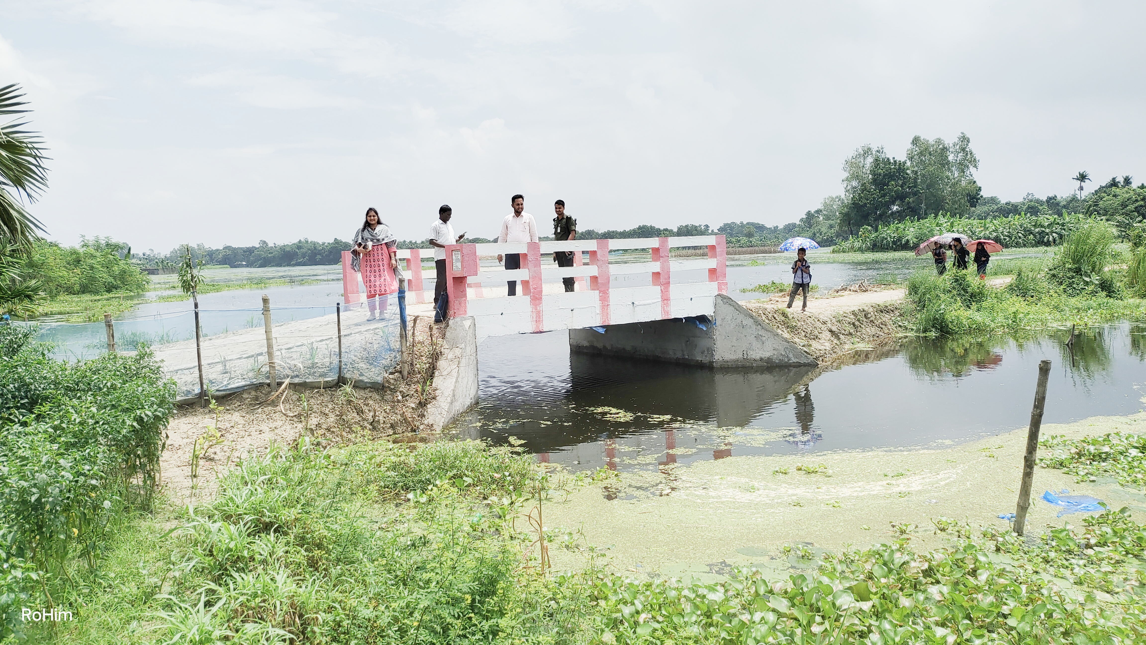 ব্রিজ পরিদর্শন