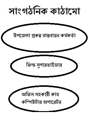 সাংগাঠনিক কাঠামো