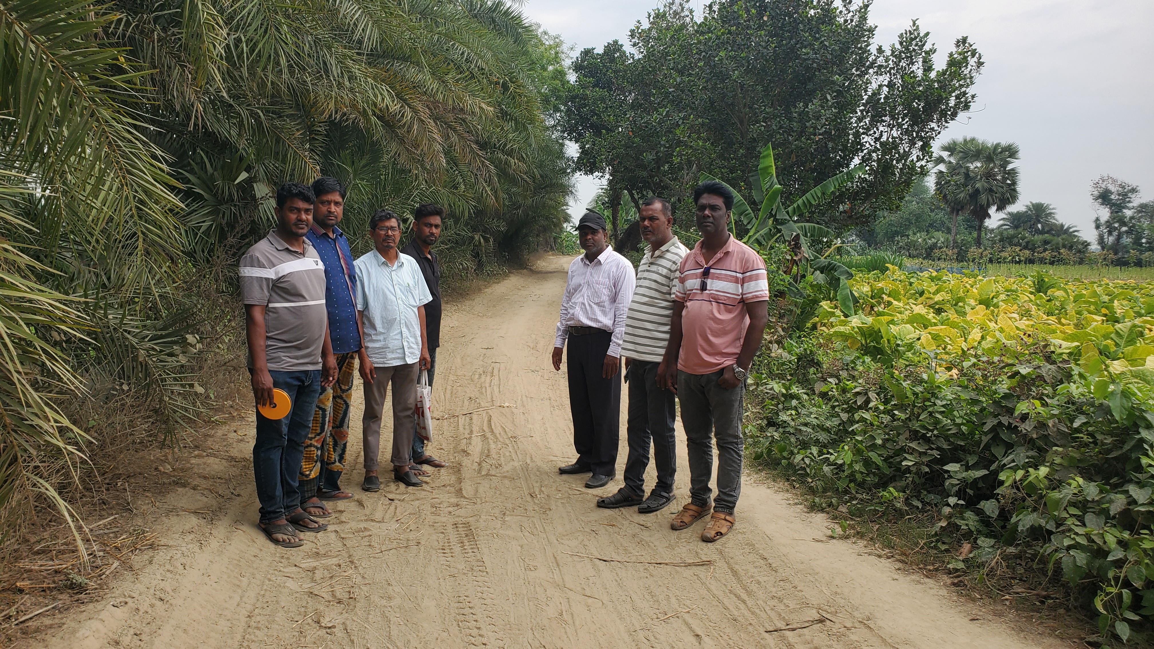 কাজের ছবি 1