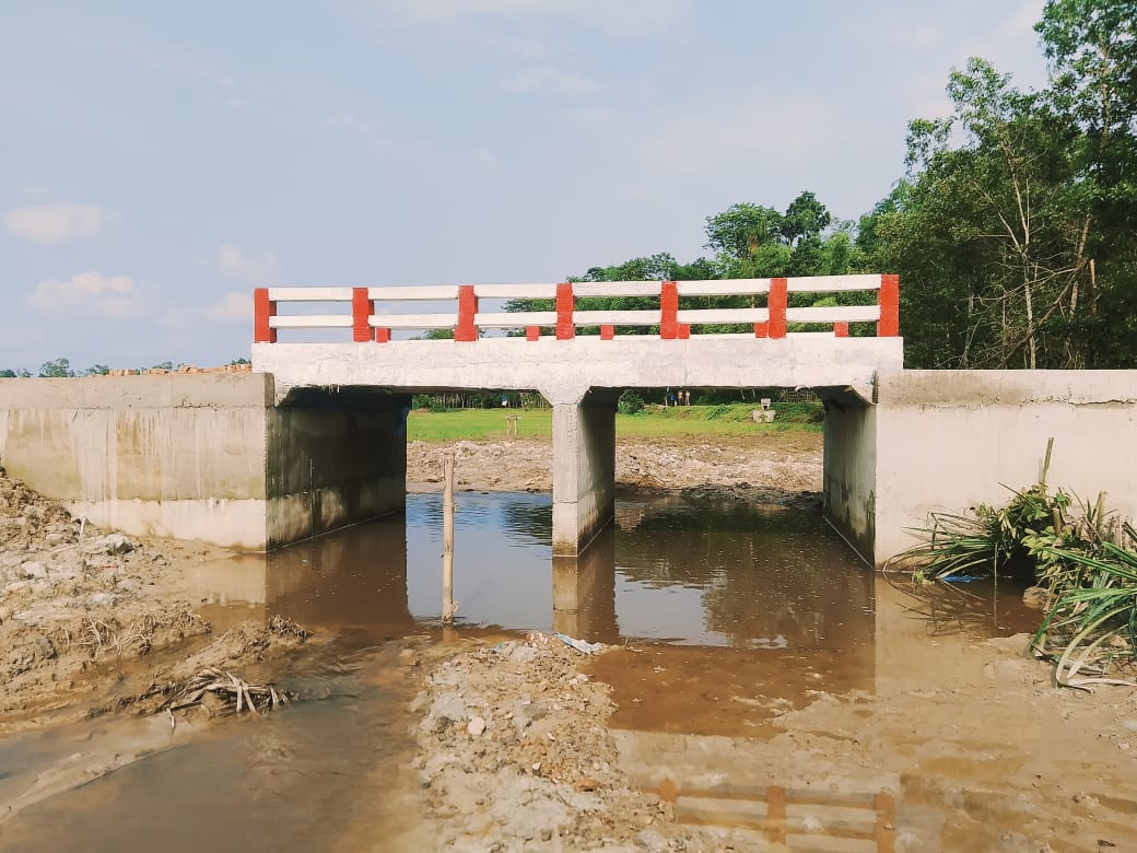ব্রীজের প্রকল্প