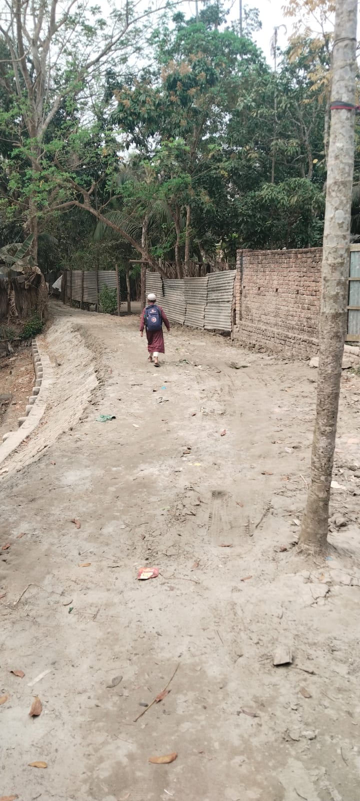 পরিদর্শন