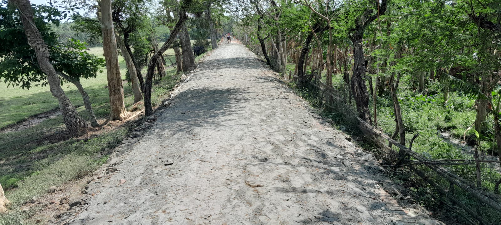 পত্তাশী ইউনিয়নে এইচবিবিকরণ রাস্তা